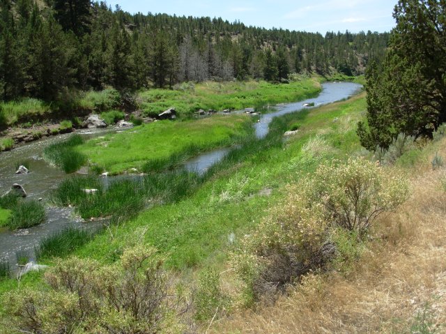 Summer '06 Sunriver 405 